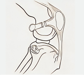 bone_img_box07.jpg