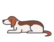 dental_icon08.png